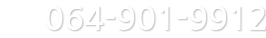 064-901-9912